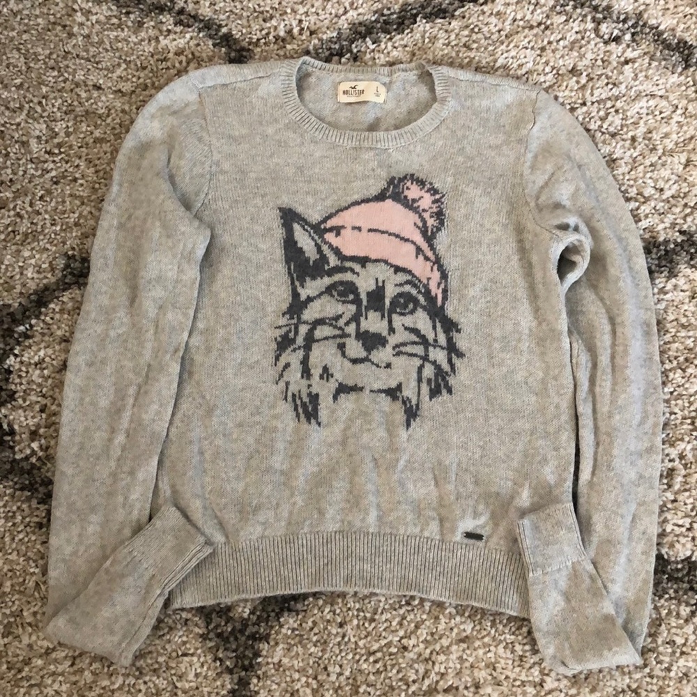 Hollister sweater